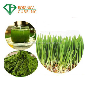 Hot sale extract seedlings of wheat, wheat seedling extract powder, wheat seedlings PE. - Product Image 2