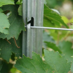Palo per <span class=keywords><strong>Vigneto</strong></span>/Traliccio in Metallo Zincato con Foro a H Alon DQ-GP226, Ecologico, Altezza 1.8m-4m - Product Image 2