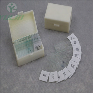 Ressources pédagogiques, matériel éducatif, équipement médical, accessoires scolaires et médicaux de haute qualité, lames préparées dans une boîte en plastique - Product Image 3