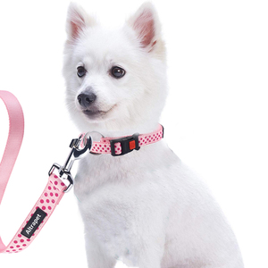 Altra para inusual cómodo de Nylon liso accesorios gato cachorro Collar de perro Correa Set - Product Image 6