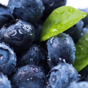 Produtos congelados Vela quente Boa degustação de frutas congeladas granel mirtilo inteiro com bom preço