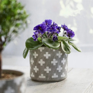 <span class=keywords><strong>Cilindro</strong></span> de moderno estilo boda decorativa plantador ollas/plantas suculentas, olla de cerámica con tapa de cristal - Product Image 5