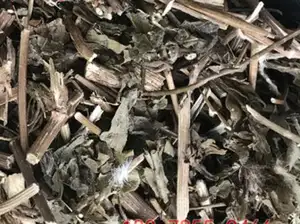 Hoang Dã khô <span class=keywords><strong>senecio</strong></span> angulatus cây thảo mộc cắt giảm để bán - Product Image 4