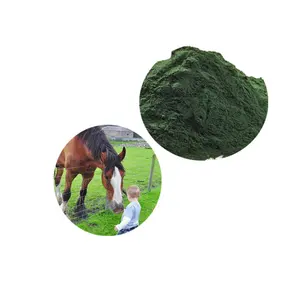 Haute Qualité En Gros Spiruline D'alimentation Animale Poudre D'algues