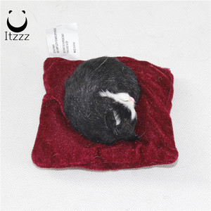 Die kuscheligen, schlafenden katze eines elenden, kuscheltiers passen sich an, als wä<span class=keywords><strong>re</strong></span> er ein akutes tier-puppengeschenk - Product Image 2