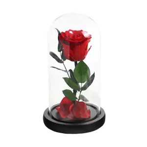 Kotak Mawar Alami Hadiah Hari Valentine Kualitas Tinggi Yang Pangeran Kecil Mawar Abadi Mawar Yang Diawetkan Dalam Kubah Kaca - Product Image 1
