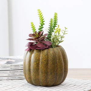 Commercio all'ingrosso decorativo personalizzato <span class=keywords><strong>Zucca</strong></span> in vaso falso succulente <span class=keywords><strong>pianta</strong></span> artificiale per la decorazione domestica - Product Image 3