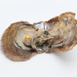 ไข่มุกอะโกย่าธรรมชาติขนาด 6-7 มม. ของคริสต์มาส AAA Jewelry พร้อมไข่มุกเอดิสันในตัว - Product Image 3