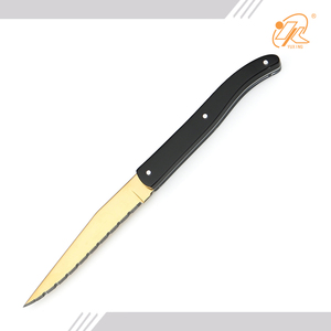 Venta caliente globalización estilo laguiole cuchillos de cocina con cuchillo de hoja de sierra - Product Image 2