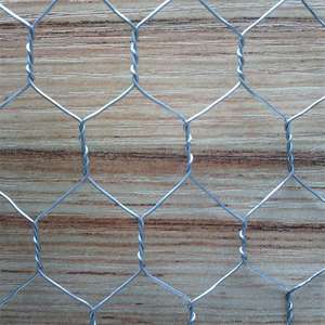 PVC tráng dây điện lưới gà dây hàng rào lục giác gà dây hàng rào lưới sắt mạ kẽm dệt lưới - Product Image 2