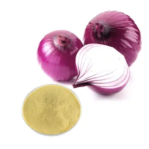 HONGDA Supply 5% 20% 40% Quercetin Powder Onion Powder Onion Extract