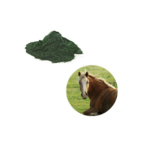 Qualité supérieure 100% Naturel pur Poudre de <span class=keywords><strong>Spiruline</strong></span> Bleue <span class=keywords><strong>Spiruline</strong></span> pour Aliments pour Chevaux - Product Image 3