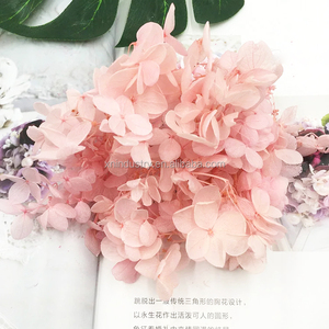 Decorazione di cerimonia nuziale materiale fai-da-te jiangfiori decorativi naturali e ghirlande fiore conservato tocco reale Anna <span class=keywords><strong>ortensia</strong></span> - Product Image 3