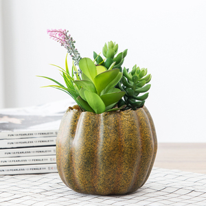 Commercio all'ingrosso decorativo personalizzato <span class=keywords><strong>Zucca</strong></span> in vaso falso succulente <span class=keywords><strong>pianta</strong></span> artificiale per la decorazione domestica - Product Image 4