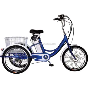 Trapondersteuning Elektrische Fiets 20 Inch 3 Wiel Ebike