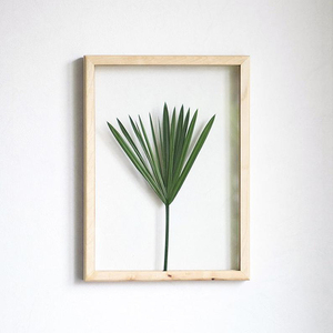 Natural Wood Floating <strong>Frame</strong> Static <strong>Album</strong> Pressed Flower <strong>Frame</strong>, Herbarium Art by MyBotanica - Product Image 2