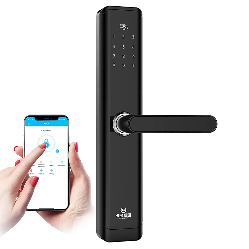 Zinc alloy digital door lock unlock five in one unlock,support Alexa remote BT unlock