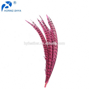 Chine Fabricant Exportateur Haute Qualité Dame Amherst Plumes de Queue de Faisan - Product Image 4
