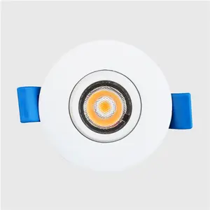 5 W 8 W 11w 服装店可扩展嵌入式 COB 天花射灯 dowm light LED 蠕虫白光