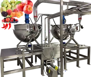 Petite échelle en acier inoxydable pour fruits et légumes confiture/pâte/purée de ligne de production
