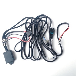 リモートコントロールとスイッチを備えた工場の自動車用LEDライトリレー配線ハーネスキット - Product Image 1