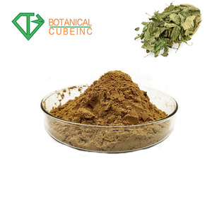Natural Fructus Mori extracto de hoja de <span class=keywords><strong>morera</strong></span> polvo de extracto de - Product Image 3