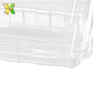 Multipropósito de almacenamiento caja de fruta para caja de plástico chino tomar <span class=keywords><strong>comida</strong></span> cajas con tapa - Product Image 5