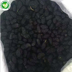 Exportadores <span class=keywords><strong>a</strong></span> granel todo orgánico fresco congelado mora de frutas - Product Image 4
