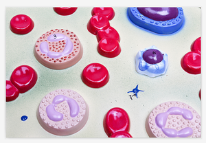 GelsonLab HSBM-236 고품질 의료 혈액 세포 모델 해부 혈액 세포 모델 - Product Image 3