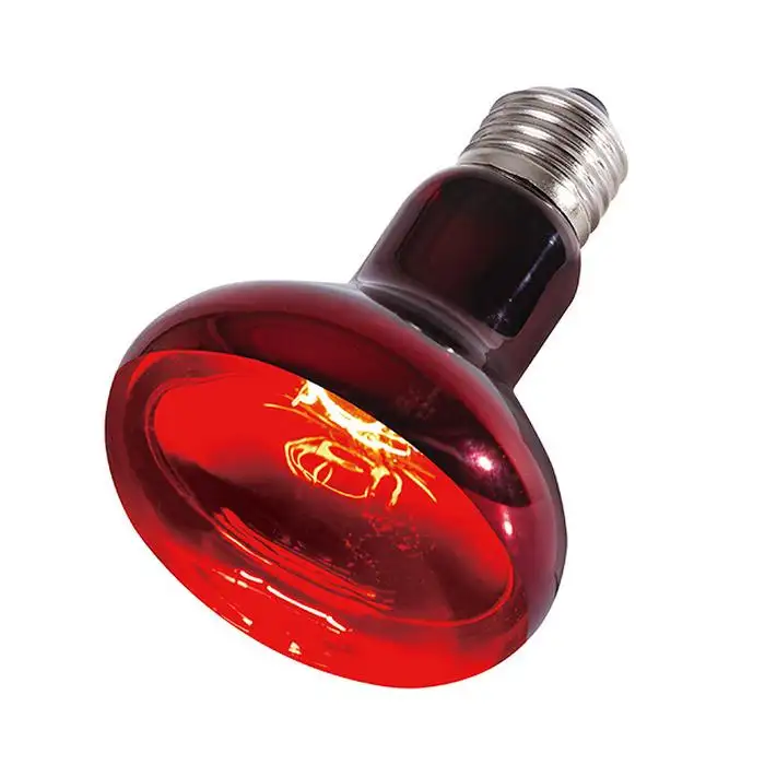 Red Glass Light Bulb 50W 75W 100W UVA Infrared Halogen Heating LampためReptileとAmphibianeptile