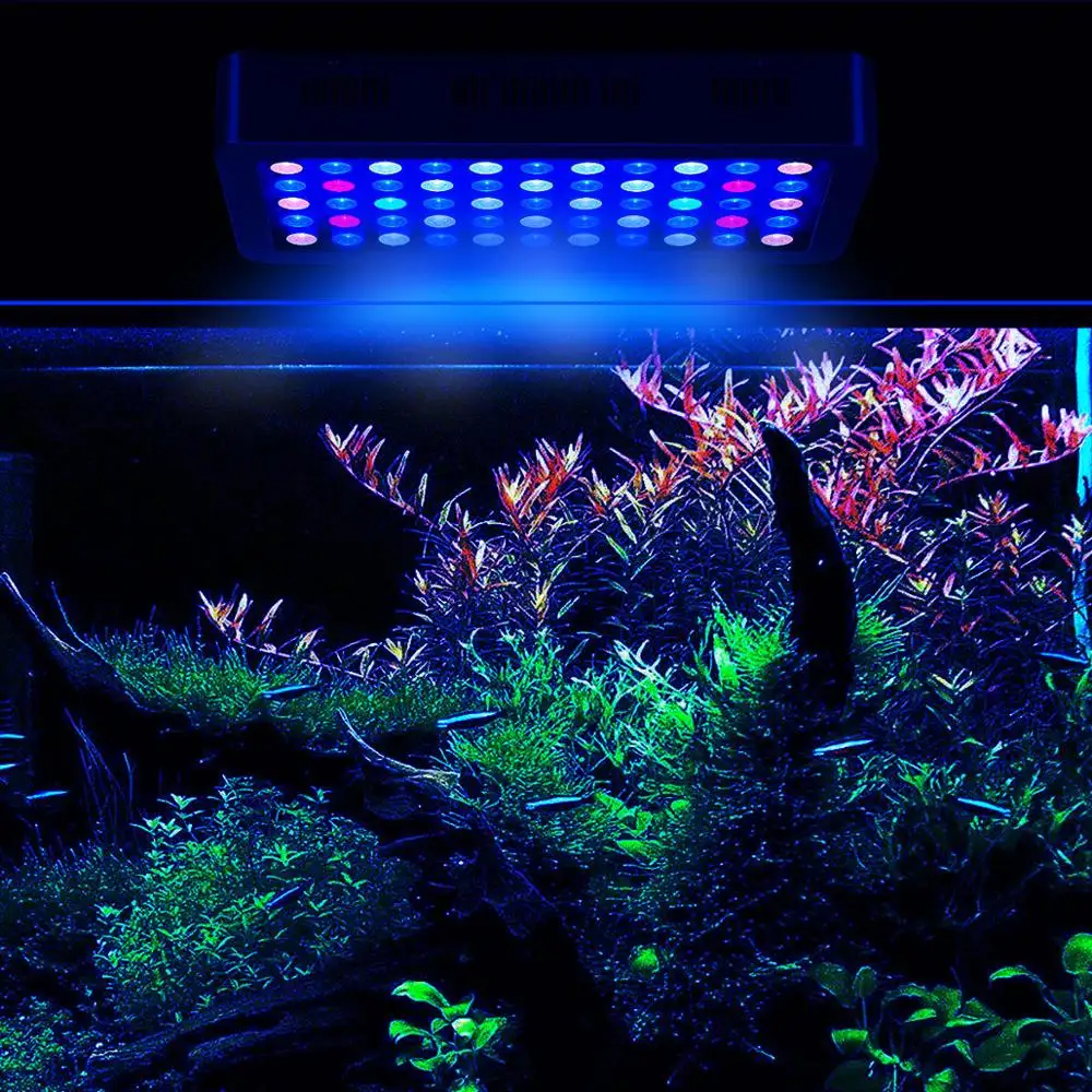 Китайский поставщик, светодиодный аквариумный светильник полного спектра с регулируемой яркостью, 165 Вт, 55x3 Вт, коралловый риф, морской