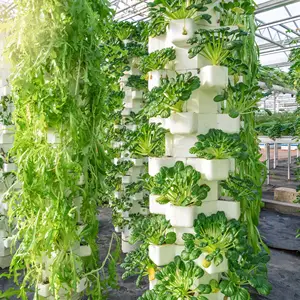 Sistema de cultivo hidropônico vertical da agricultura vidro greenhouse
