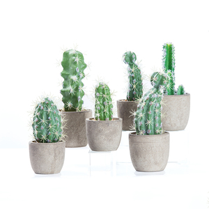 Toque Real Alta Calidad pulpa maceta plantas suculentas Artificial <span class=keywords><strong>Cactus</strong></span> <span class=keywords><strong>bola</strong></span> - Product Image 1