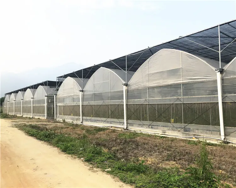 Agricultural UV 3層Green House Plastic FilmためAgriculture