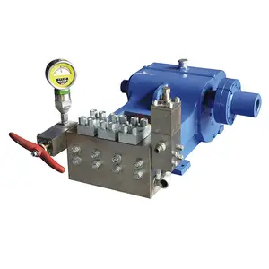 High Pressure of Triplex Plunger Pump water pump for washing