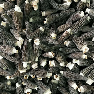 Yang Du Jun Chinese Leverancier Gedroogde Morieljes Morchella Conica Esculenta Paddenstoel