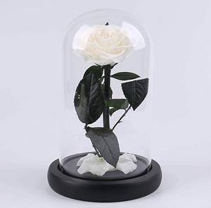 Forever Real Rose Everlasting Flower Preserved Fresh Flower Live <strong>Enchanted</strong> Rose in Glass Dome Cover with Gift Box - Product Image 4