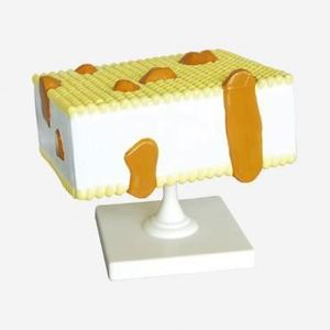Gelsonlab HSBM-395 Mobiele membraan model