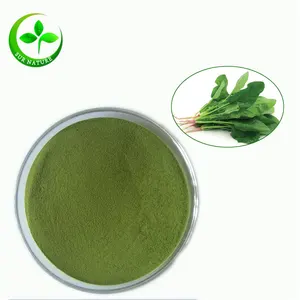 Natural spinach extract juice powder