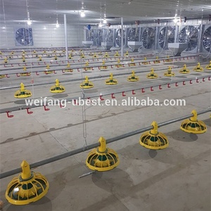 Comedero Automático para Aves <span class=keywords><strong>de</strong></span> Corral, para Pollos <span class=keywords><strong>de</strong></span> Engorde y Reproductores - Product Image 6