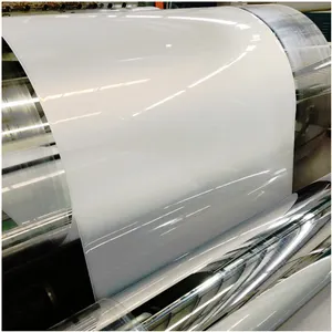 Plastic Sheets For Thermoforming Transparent Pp Plastic Sheets Rolls Material 0.8mm Thermoforming For Cup