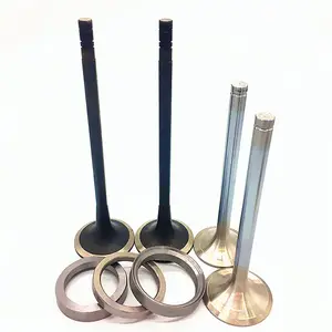 China Supplier UK engine parts For Deutz Fent D226b 3802 TD226 TD 226B 3120 4160 6240 MWM 622604605014 inlet exhaust valves