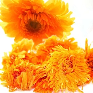 Fiori Interi di Calendula Essiccati, Calendula Officinale per <span class=keywords><strong>Tisane</strong></span> <span class=keywords><strong>Naturali</strong></span> - Product Image 3