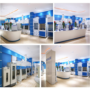 BIOBASE Laboratorio Elettronico Bilancia <span class=keywords><strong>di</strong></span> <span class=keywords><strong>Precisione</strong></span> Digitale - Product Image 6