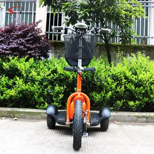 Kendaraan Zappy Elektrik Mobilitas, Kendaraan Zappy Elektrik 3 Bagian Skuter 48V 500W untuk Skuter <span class=keywords><strong>Gas</strong></span> Cacat untuk Dewasa - Product Image 1