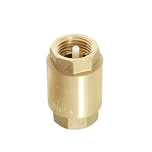 Good quality 1inch Brass plastic core spring vertical check valve