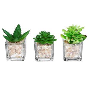 <span class=keywords><strong>Succulente</strong></span> Vaso Da Giardino Terrario di Vetro Quadrato Cubo Vaso, <span class=keywords><strong>Vasi</strong></span> In Vetro Trasparente <span class=keywords><strong>per</strong></span> Composizioni floreali - Product Image 1