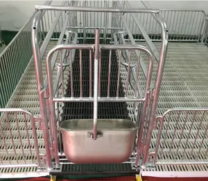 Jaula de parto para equipos de granja de cerdos con incubadora de lechones Jaula de parto duradera para el cuidado de los animales