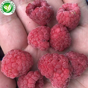 Congelados venta al por mayor <span class=keywords><strong>Raspberry</strong></span> precios por KG IQF - Product Image 2