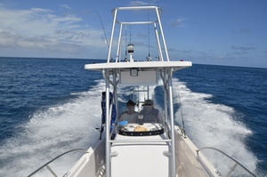 Console professionnelle pour bateaux <span class=keywords><strong>de</strong></span> pêche, original, <span class=keywords><strong>en</strong></span> fibre <span class=keywords><strong>de</strong></span> verre - Product Image 6